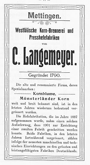 Seite 71 - C. Langemeyer - Mettingen